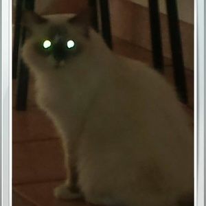 Meet your Posher, Lorraine